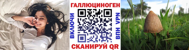 купить   Краснокамск  Галлюциногенные грибы MAGIC MUSHROOMS 
